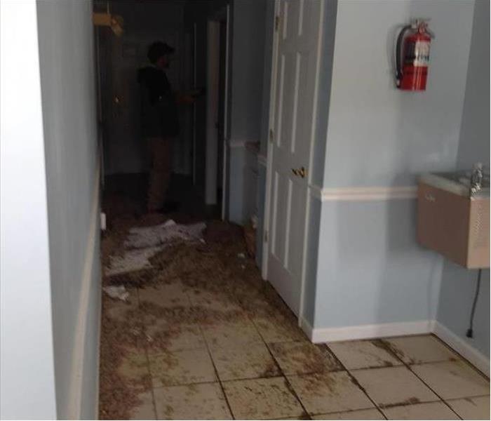 brown insulation and debris on tiled floor of this blue-walled office area corridor